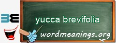 WordMeaning blackboard for yucca brevifolia